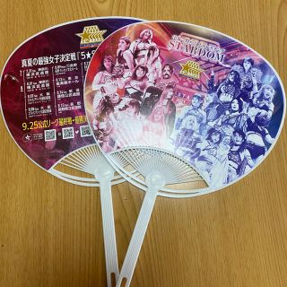 スターダムうちわ2本(格闘技/プロレス)