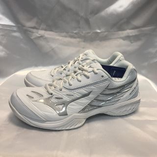 MIZUNO バドミントンシューズ　ウェーブクロー　71GA191603