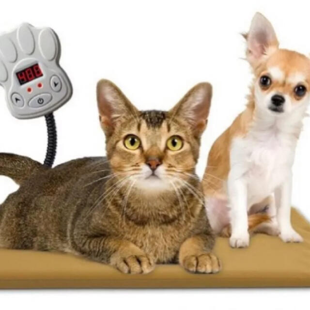 ⭐️最終価格⭐️ペット用 ホットマット 犬 猫 30×40 ペットヒーター その他のペット用品(猫)の商品写真