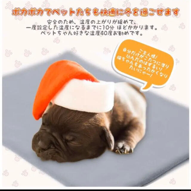 ⭐️最終価格⭐️ペット用 ホットマット 犬 猫 30×40 ペットヒーター その他のペット用品(猫)の商品写真