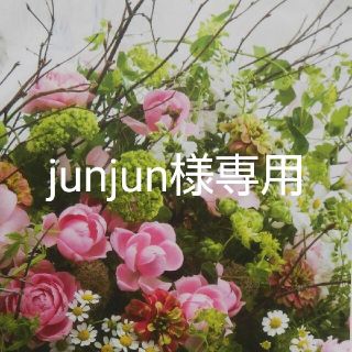 junjun様専用のお品(その他)