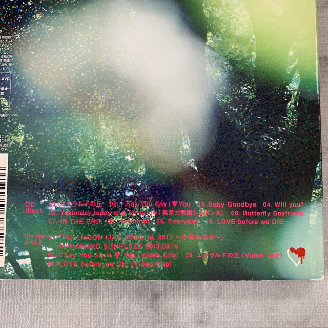 LOVE before we DIE（Blu-ray Disc付）moumoon エンタメ/ホビーのCD(ポップス/ロック(邦楽))の商品写真