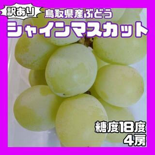 ❤️鳥取県産❤️シャインマスカット 4房　糖度18度前後　ぶどう　葡萄(フルーツ)
