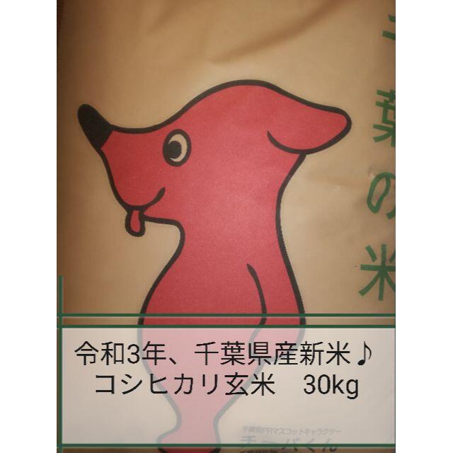 ◎令和3年千葉県産新米★コシヒカリ／玄米30㎏◎谷津田で育てた自慢のお米(^^♪食品