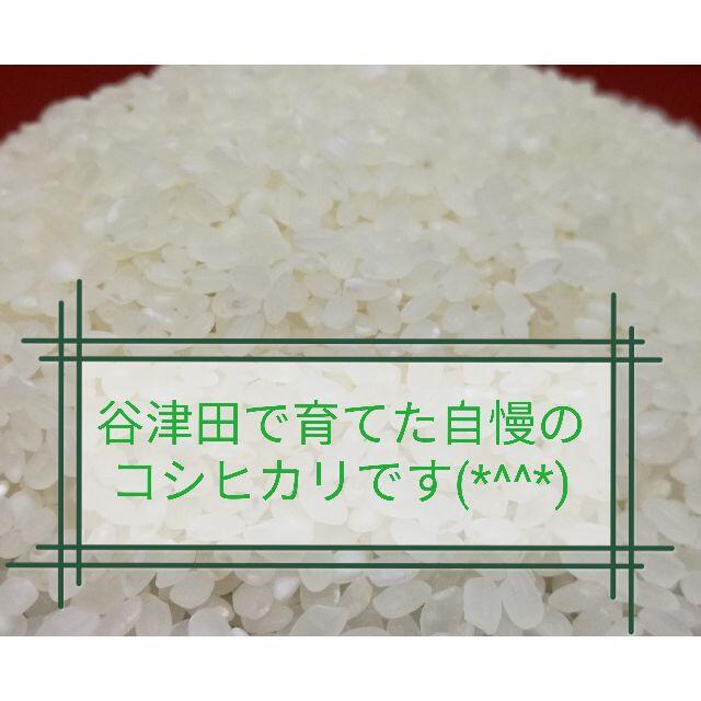 ◎令和3年千葉県産新米☆コシヒカリ/玄米30㎏◎谷津田で育てた ◎令和3年千葉県産新米☆コシヒカリ/玄米30㎏◎谷津田で育てた