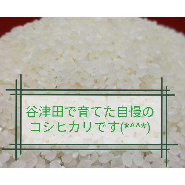 ◎令和3年千葉県産新米☆コシヒカリ／玄米30㎏◎谷津田で育てた自慢のお米(^^♪　米/穀物