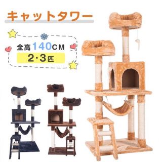 キャットタワー 据え置き 猫タワー 多頭　141cm(猫)