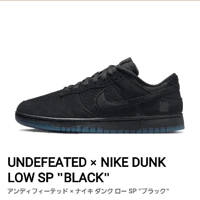 アンディフィーテッド NIKE DUNK