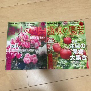 NHK 趣味の園芸 2018年 11月号 12月号 2冊(専門誌)