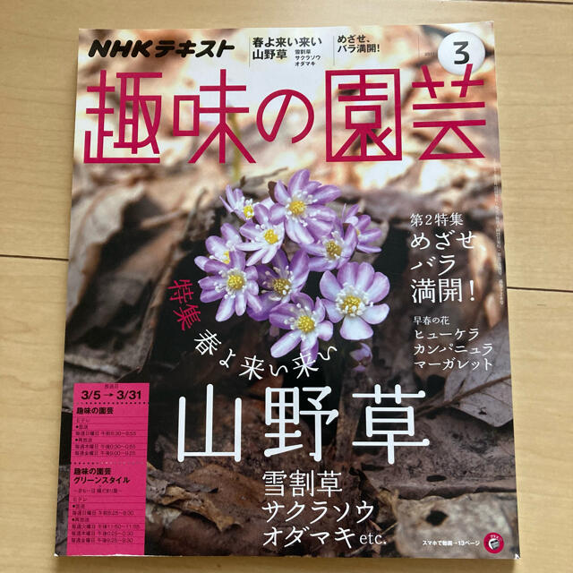 NHK 趣味の園芸 2017年3月号 2019年4月号 2冊 エンタメ/ホビーの雑誌(専門誌)の商品写真