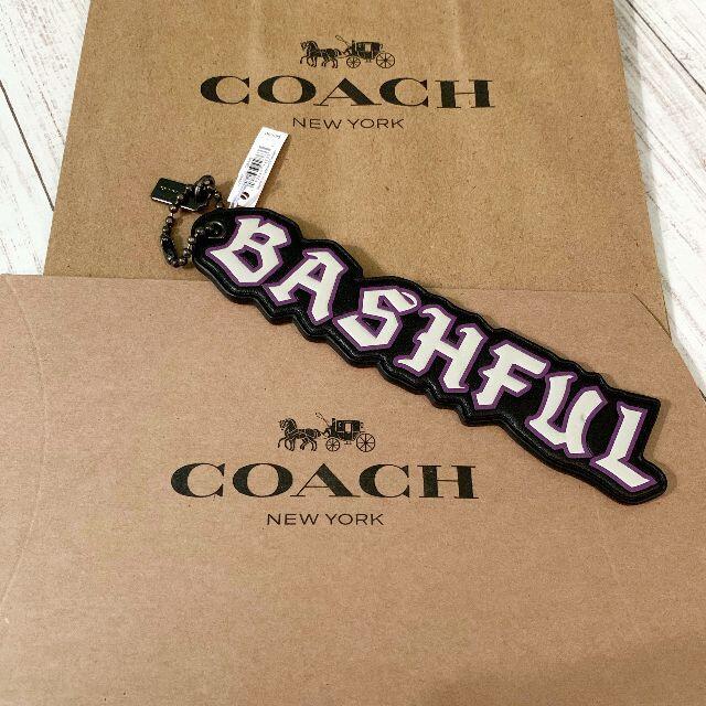 Coach 激レア Coach ディズニー コラボ キーホルダー バッシュフルの通販 By Anmonoshop 旅先や好きで集めた商品たちを断捨離のため出品中です コーチならラクマ