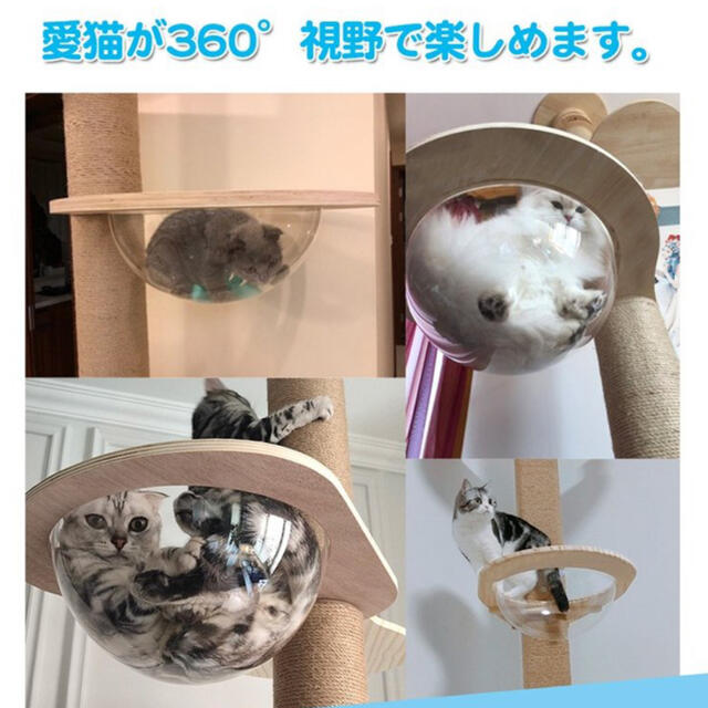 《宇宙船のみ》RAKU キャットタワー　木登りタワー　猫　ベッド　透明 その他のペット用品(猫)の商品写真