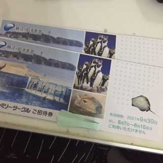 新江ノ島水族館 招待券 2枚(水族館)