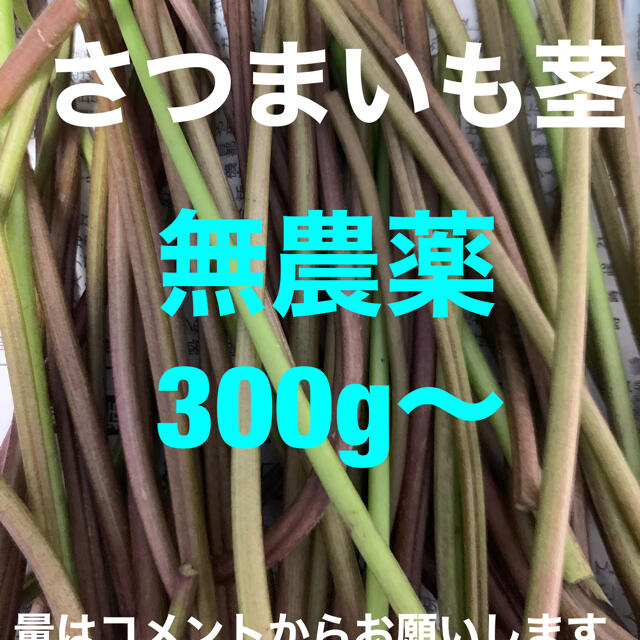 さつまいもの茎　ご購入頂いてから収穫します 食品/飲料/酒の食品(野菜)の商品写真