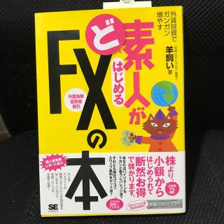 ど素人がはじめるＦＸ（外国為替証拠金取引）の本 外貨投資でガンガン増やす(ビジネス/経済)