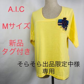 エーアイシー(A・I・C)の新品　タグ付き　A.I.C 半袖　Tシャツ　ビーズ　M レーヨン　インド製品(Tシャツ(半袖/袖なし))