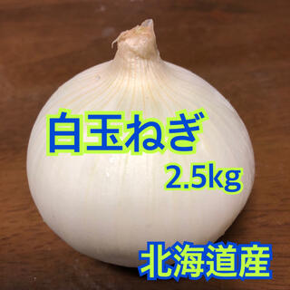 白玉ねぎ　2.5kg (野菜)