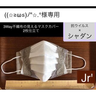 マスク(THE MASK)の((⭐︎≧ω≦)ﾉ"⭐︎.°様専用ページ　発送予定日9/19(その他)