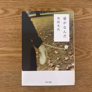 愛がなんだ(文学/小説)