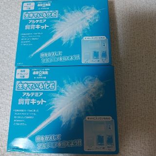 ショウガクカン(小学館)のいきている化石セット　2セット日曜日まで価格ねさげ(アート/エンタメ/ホビー)