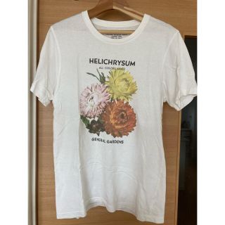 シップス(SHIPS)のＴシャツ(Tシャツ/カットソー(半袖/袖なし))