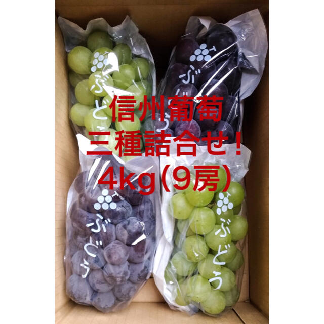信州葡萄 3種詰め合わせ 約4kg(9房) 黄甘 巨峰 ピオーネ 食品/飲料/酒の食品(フルーツ)の商品写真