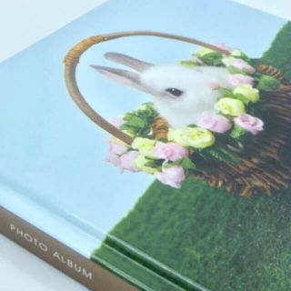 ❤️バケットラビット🐰フォトアルバム🇦🇼(アルバム)