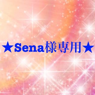 ワコール(Wacoal)のSena様専用(その他)