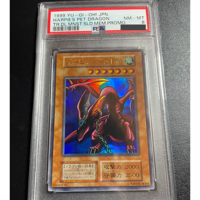 遊戯王 ハーピィズペット竜 初期 PSA9 - library.iainponorogo.ac.id 遊戯王 ハーピィズペット竜 初期 PSA9 - library.iainponorogo.ac.id