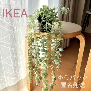 イケア(IKEA)の【新品】IKEA イケア フェイクグリーン（ユーカリ）フェイカ(その他)