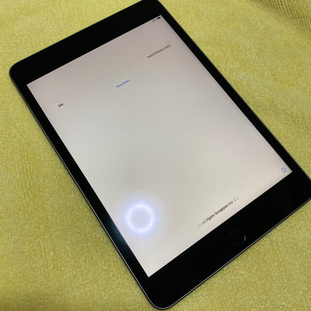 極美品 Apple iPad mini5 64GB Wi-Fi スペースグレイ