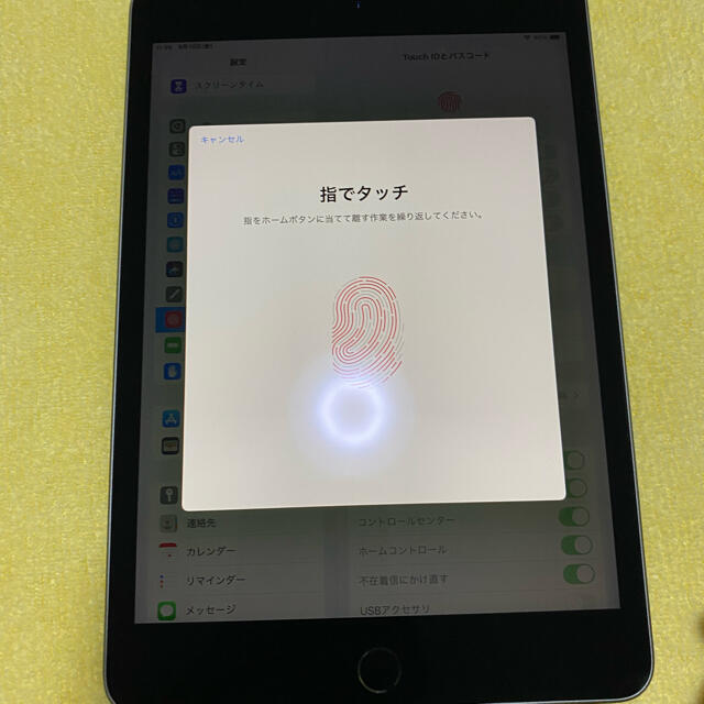 極美品 Apple iPad mini5 64GB Wi-Fi スペースグレイ