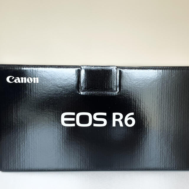 Canon EOS R6ボディー