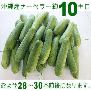 【送料込】沖縄産食用ヘチマ約１０キロ ナーベラー(へちま)の味噌 ...