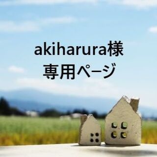 「akiharura様　専用ページ」(エクササイズ用品)