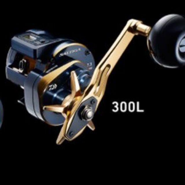 ダイワ(DAIWA) 21 ソルティガIC 300L - 通販 - estrelaurbanismo.com.br