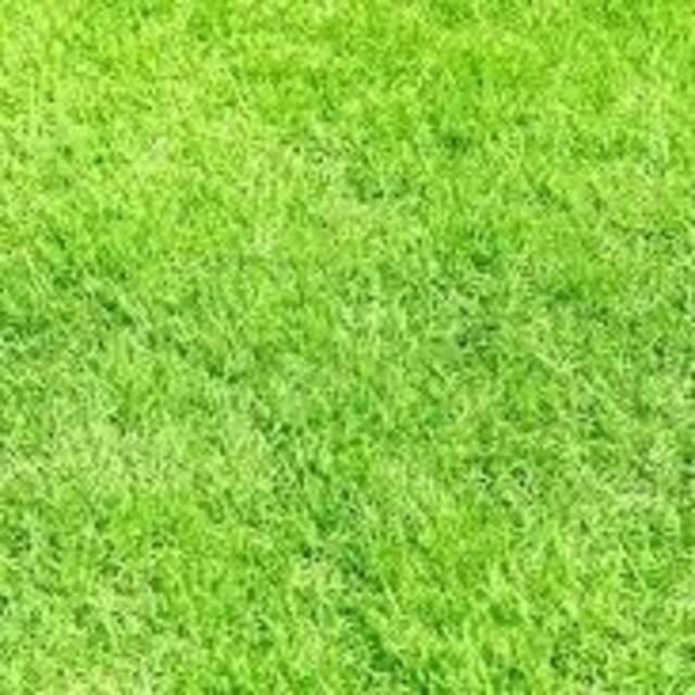 【超目玉】 TaylorMade - 専用 クラブ 【超目玉】 TaylorMade - 専用 クラブ