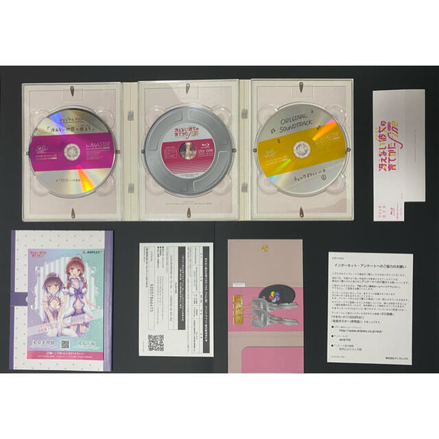 冴えない彼女の育てかたFine Blu-ray, ANIPEX＋購入特典付き