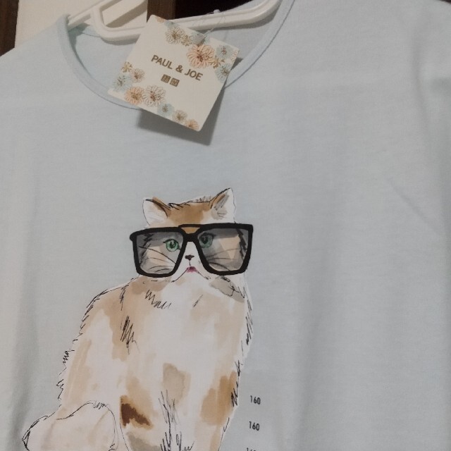 UNIQLO(ユニクロ)のユニクロ PAUL & JOE コラボ Tシャツ 160 猫 キッズ 女の子 キッズ/ベビー/マタニティのキッズ服女の子用(90cm~)(Tシャツ/カットソー)の商品写真