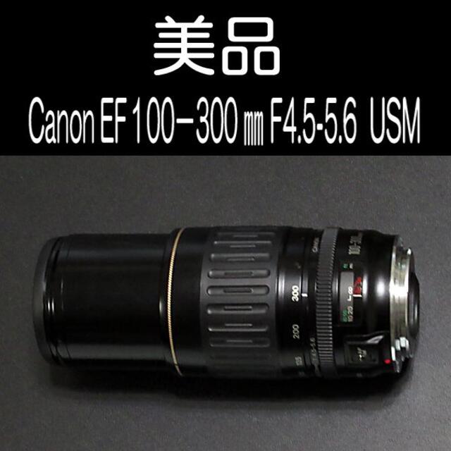 ☆美品！☆Canon EF 100-300mm F4.5-5.6 USM☆-