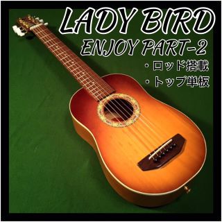 希少! ロッド搭載仕様! k.yairi ladybird 中古 値下げの通販 by ノブ