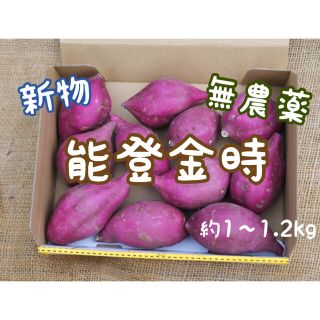 能登産　旬のさつまいも　能登金時　1kg(野菜)