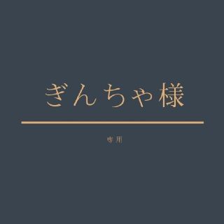 ぎんちゃ様専用☆多肉植物(その他)