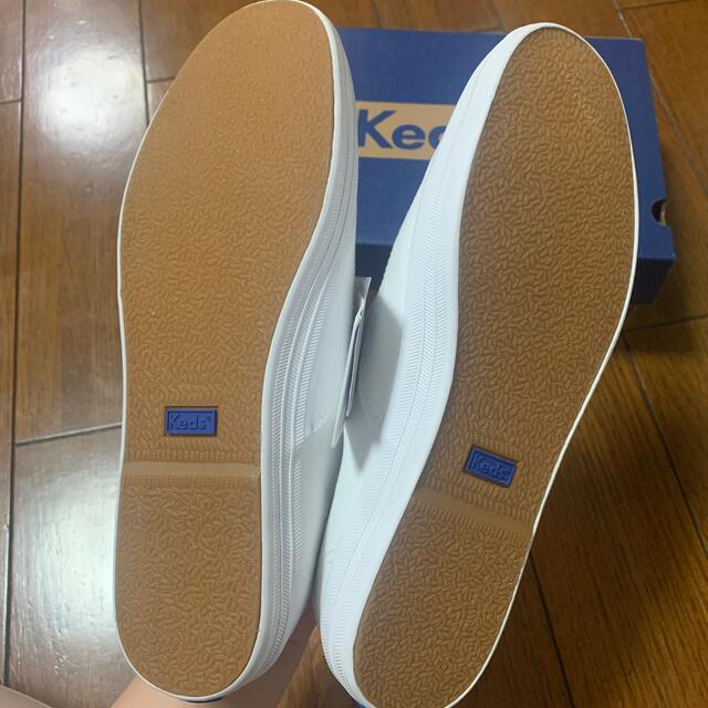 Keds(ケッズ)の★たぼ様専用★keds CHAMPION CANVAS 23.0 レディースの靴/シューズ(スニーカー)の商品写真