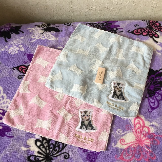 激安アウトレット!】 ポールアンドジョータオルハンカチ 美品