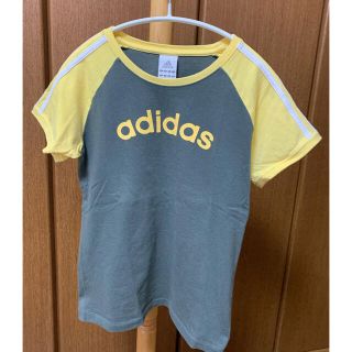 アディダス(adidas)の【お買得】　Mサイズ　DANLOP テニスウェア　レディース　 Tシャツ(ウェア)