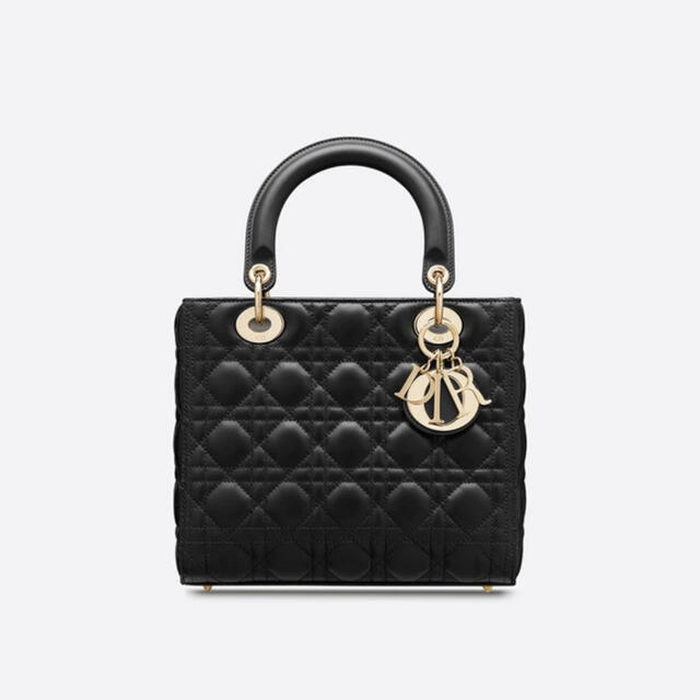 Dior(ディオール)のDior バッグ レディースのバッグ(ハンドバッグ)の商品写真