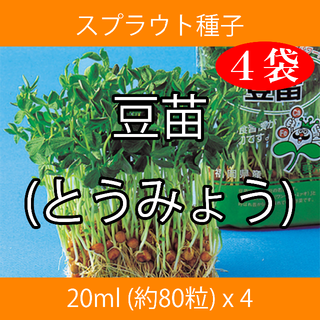 スプラウト種子 S-07 豆苗(とうみょう) 20ml 約80粒 x 4袋(野菜)