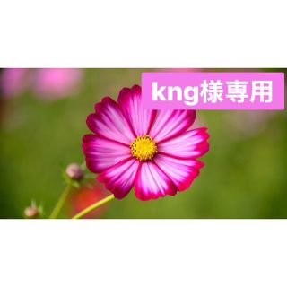 kng様専用❣️送料無料　David 2箱(その他)