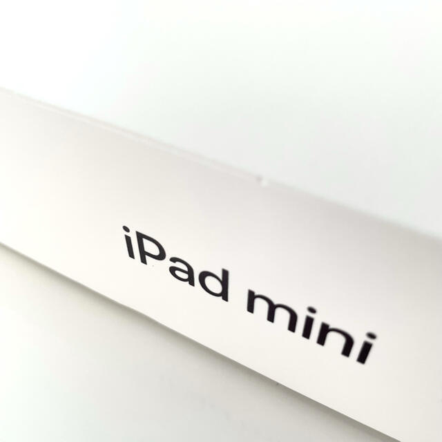 iPad mini5 WI-FI 64GB 2020 4